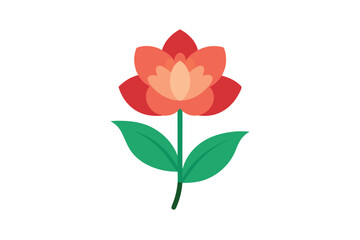 Obraz premium red rose isolated on white