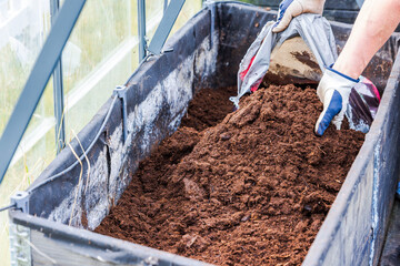 Person pouring soil from bag into raised greenhouse bed during preparation for planting vegetables....