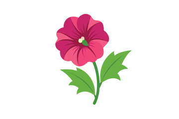 pink flower isolated on white