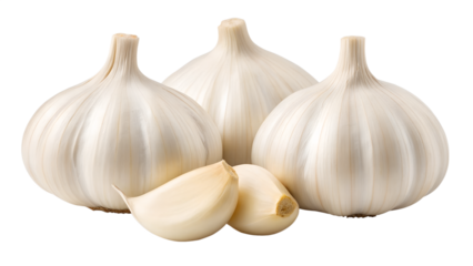 Three whole heads of white garlic bulbs with two cloves of garlic sitting next to them