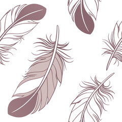 Obraz premium vector set of feathers