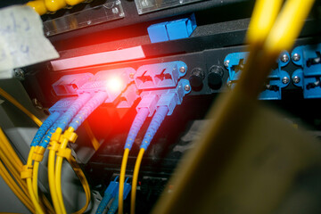 Fiber Optic Cables Connected to Networking Equipment