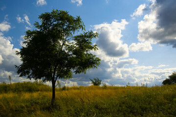 Landscapes with sky and clouds