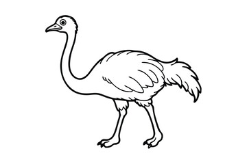 ostrich cartoon isolated on white background