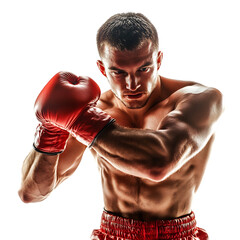 A Determined Boxer PUNCHING Isolated on Transparent Background