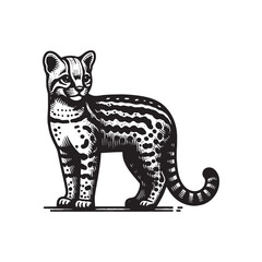 Fototapeta premium Ocelot Side View Vector Icon – Vintage Logo & Retro Illustration
