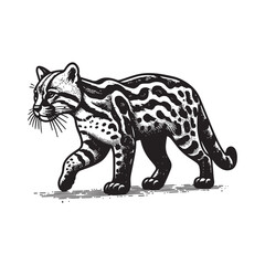 Fototapeta premium Ocelot Walking Vector Icon – Vintage Logo & Retro Illustration