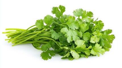 Obraz premium Vibrant fresh bunch of cilantro coriander leaves beautifully displayed on a wooden surface for cooking and garnishing