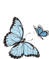 Obraz premium A colorful butterfly with yellow and orange wings flying on a white background