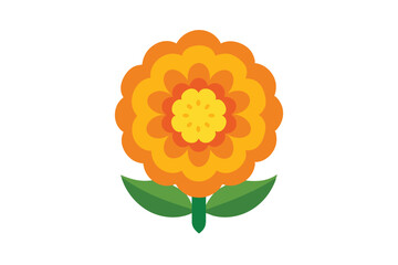 orange flower isolated on white background