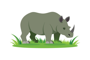 Obraz premium rhino on white