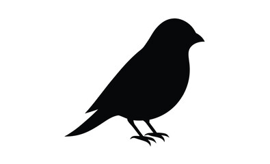 Obraz premium Elegant canary vector silhouette, elegant Canary Illustration Vector 