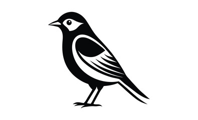 Vector illustration songbird silhouette 