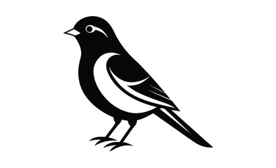 Vector illustration songbird silhouette 