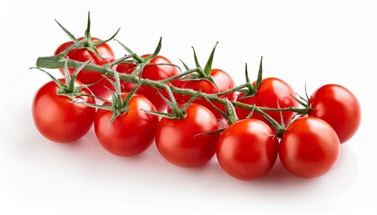 branches of fresh cherry tomatoes isolated on white