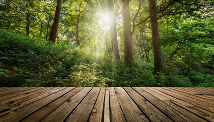 Fototapeta premium rustic wooden deck in lush green forest with sunbeam shining through the leaves