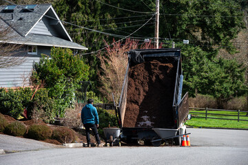 Spring gardening, landscaping crew with heavy duty truck with lift bed full of fresh new ground bark to spread in a home garden, sunny day in residential neighborhood  © knelson20