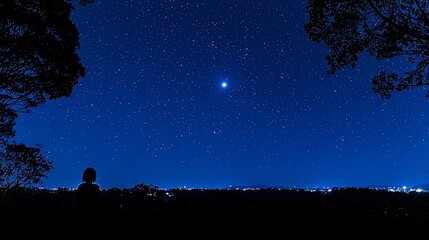 Tranquil Night Sky Silhouette