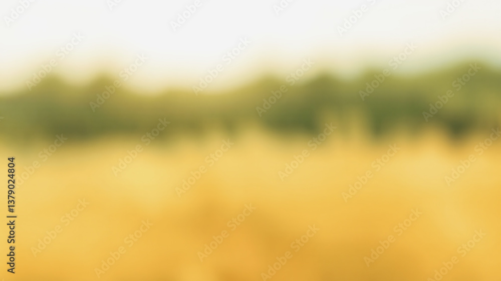 Poster soft abstract green background with blurred light and colorful pattern