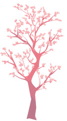 Minimalistic pink cherry blossom tree on white background