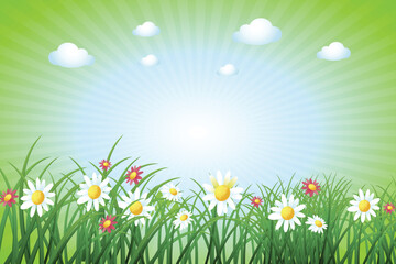 summer background with grass and flowers