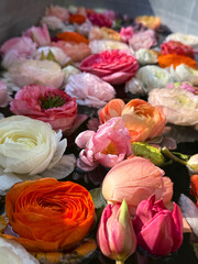 Beautiful flowers variation colorful blooms. 