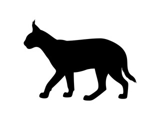 African caracal silhouette vector flat illustration design.