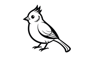 Tufted titmouse bird silhouette
