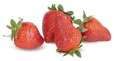 Fraises Gariguette