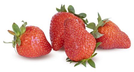 Fraises Gariguette