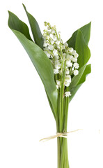 Bouquet de brins de muguet	