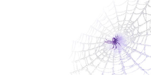 Obraz premium Intricate Spider Web with Delicate Spider in the Center, Nature’s Artistry Captured in Intriguing Detail on Dark Background