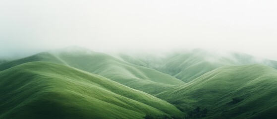 Misty green hills roll gently into the distance, shrouded partially by a white fog, creating a serene and ethereal landscape.