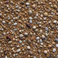 Highly detailed texture of natural sand mixed with small pebbles and shells. The material should have uneven details, with earthy tones of beige, gray, and subtle pastel colors for added realism