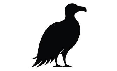 Black vulture on white silhouette