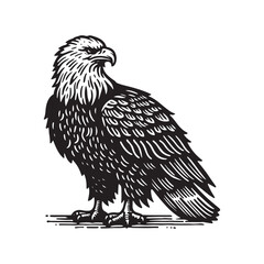 Simple Bald Eagle Side View Vector Icon &ndash; Vintage Logo & Rustic Illustration