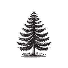 Mature Pine Tree Vector Icon – Vintage Logo & Rustic Illustration