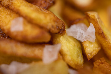 Golden crispy potato wedges sprinkled with sea salt, close-up. Perfect comfort food concept, perfect for fast food menus, advertising and food blogs, selective focus