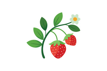 vector illustration of ripe strawberry