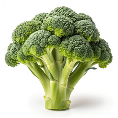 broccoli isolated on white