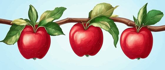 Ripe red Fuji apples hanging from a branch with green leaves ready for harvesting in an orchard garden Copy space image against a blue sky backdrop in Catalonia