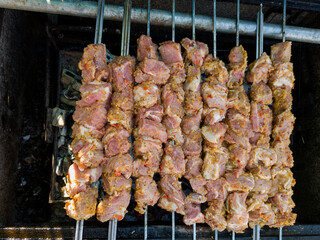 Picnic in the garden. Meat is grilled, the cooking process. Family day in nature.