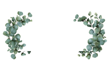 A horizontal white banner with eucalyptus leaves on the sides and space in the center for the text centered font isolated on a solid background highresolution