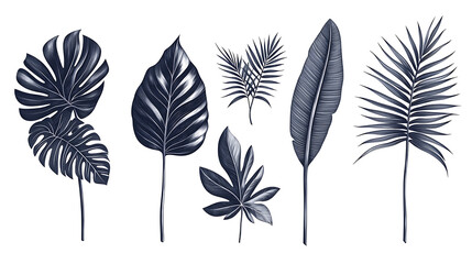 An illustration of a set of monochrome jungle exotic leaves, comprising philodendron, palm leaves, areca palm leaves, royal fern, and banana leaves isolated on a white background