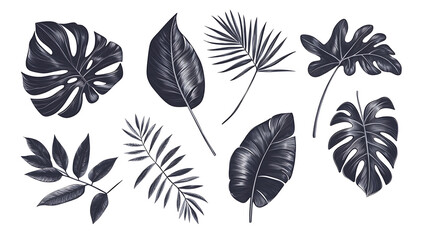 An illustration of a set of monochrome jungle exotic leaves, comprising philodendron, palm leaves, areca palm leaves, royal fern, and banana leaves isolated on a white background