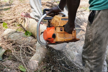 A chainsaw on the hand of a person in close-up
