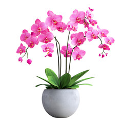 A 3D Decorative Orchid Plant with Bright Pink Flower Isolated on Transparent Background