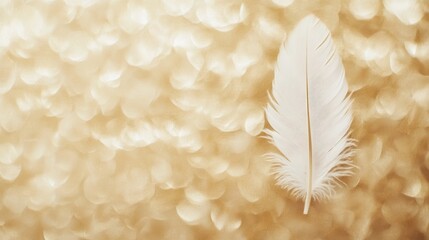 White feather resting on shimmering golden background with soft bokeh, evoking angelic presence and celestial serenity