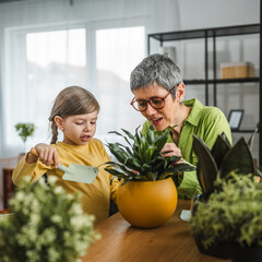 Obraz premium Grandmother with granddaughter transplant flowers at home