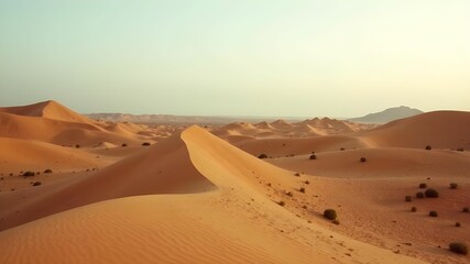 Golden dunes stretch across a vast desert landscape under a serene sky during the early morning light